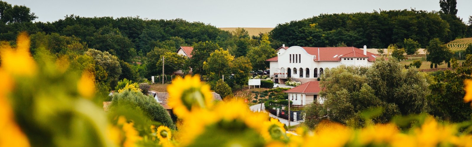 A Nagy Nyári Elvonulás helyszíne: Rádhé Resort